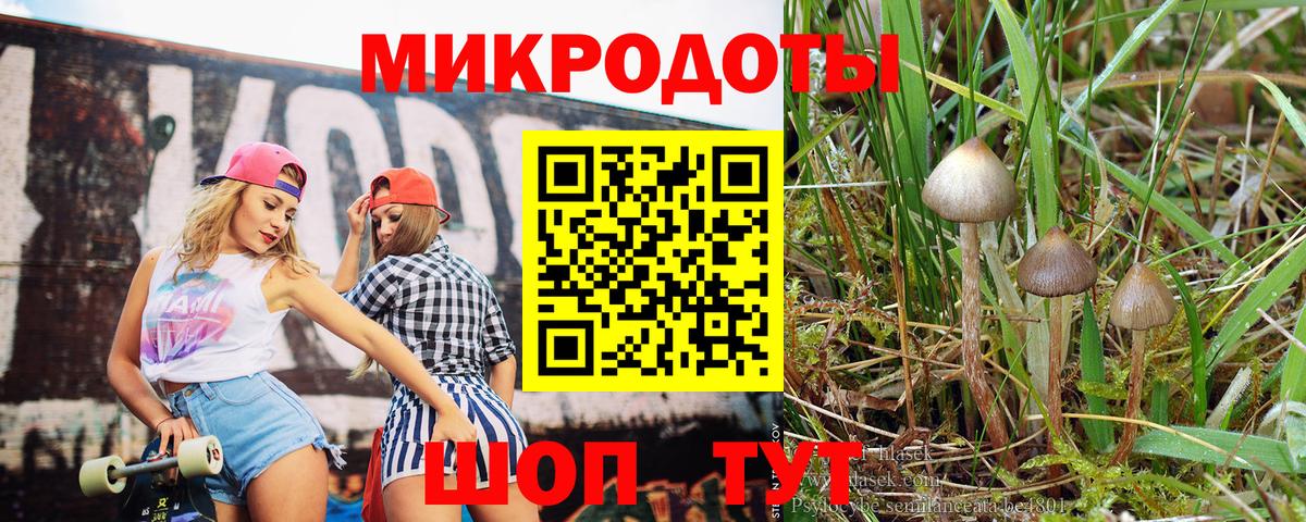 Псилоцибиновые грибы GOLDEN TEACHER Калуга