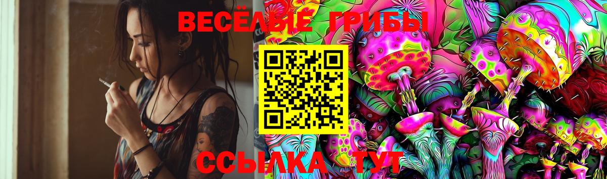Галлюциногенные грибы GOLDEN TEACHER  Вход с VPN  Калуга 